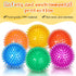 Lenwen 24 Pcs 3.5 Inch Spikey Squeaky Dog Balls - Durable Chew Toys for Medium Large Dogs, Teething Fetch Toys