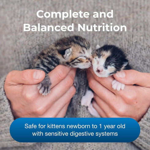 12 oz PetAg Goats Milk KMR Kitten Milk Replacer Powder - - Powdered Kitten Formula with Prebiotics, Probiotics