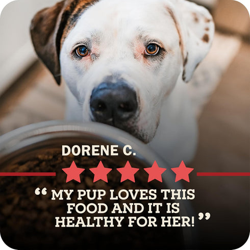 93% 2lb Redbarn Powerfood Air Dried Dog Food for Digestive Gut Health - Beef, Beef Organs & Lamb with Prebiotics