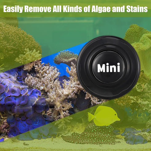2 1.57 1.38 Inch Cunhill Pieces Mini Aquarium Glass Cleaner Magnetic Algae Scraper x No Scratch Fish Tank Glass Cleaner