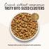 The Honest Kitchen Whole Food Clusters Grain Free Chicken & Fish Dry Cat Food, 1 lb Trial Pouch