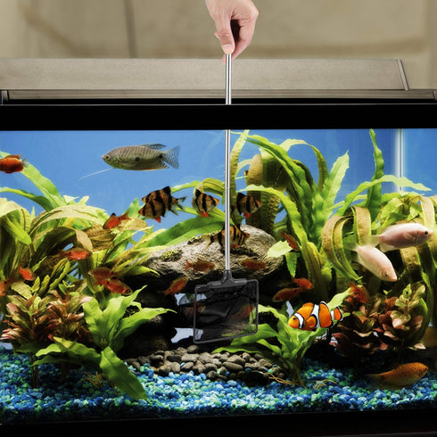 Lpraer Aquarium Fish Net - 3.2" x 4" with Extendable 7.4"-16.3" Telescopic Stainless Steel Handle