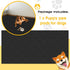 120'' 60'' Drydiet Extra Large Dogs Playpen Mat Kennel Flooring for Dogs x Washable Floor Covering Reusable Waterproof