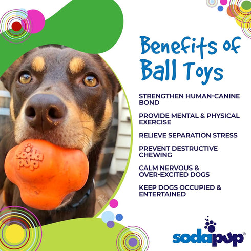 SodaPup Crazy Bounce Durable Dog Ball & Chew Toy Made in USA, Non-Toxic Natural Rubber for Bonding & Exercise