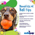 SodaPup Crazy Bounce Durable Dog Ball & Chew Toy Made in USA, Non-Toxic Natural Rubber for Bonding & Exercise