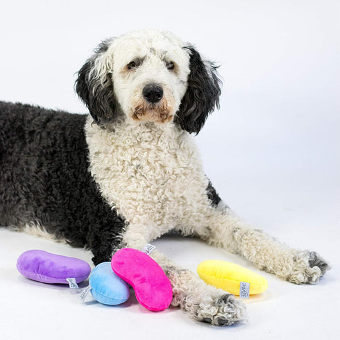 Set 4 Midlee Jelly Bean Easter Dog Toy- of (Large)