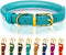 OOPSDOGGY Reflective Rolled Leather Dog Collar for Medium Dogs - Adjustable Soft Padded Collar (M, 12"-15", Teal)