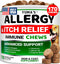 Dog Allergy Relief Chews - Dog Itching Skin Relief Treatment Pills -
