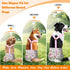3 Pack Washable Female Dog Diaper,Reusable Fixed Doggie Diapers Super Absorbent Leakproof for Small Medium Large Dog