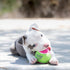 (3 Pack) (2 Packs) KONG - SqueakAir Birthday Balls Durable Non-Abrasive Fetch Toy with Built-in Squeaker, Assorted