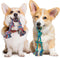 2 Pack Dog Rope Toy for Small Dogs - Durable Cotton Chew Toys for Teething and Tug of War