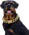 18K Gold Dog Chain Collar with Secure Buckle, Heavy Duty Chew Proof for Dogs (20")