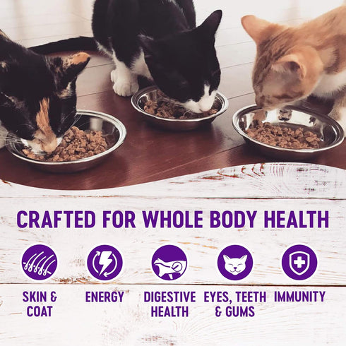 Wellness Healthy Indulgence Natural Grain Free Wet Cat Food, Chicken & Turkey Morsels, 3-Ounce Pouch (Pack of 24)