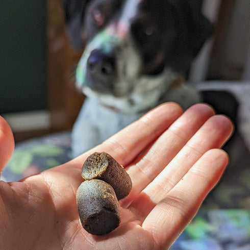 Immune 8 Count Hemp Well Thrive Chews for Dogs Support Hip, Joint, and Heart Health, Promotes and Skin Health, Organic.