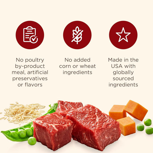 13 oz. 12 Count, Packaging Nutrish Real Beef & Veggies Recipe Whole Health Blend Chunks in Gravy Wet Dog Food, Can, May