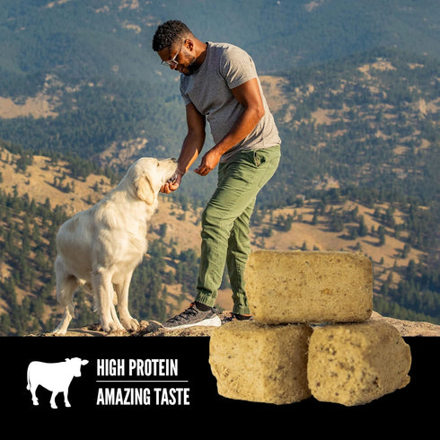 ORIJEN Grain Free High Protein Freeze Dried Dog Treats - Original Recipe 1.5oz Bag