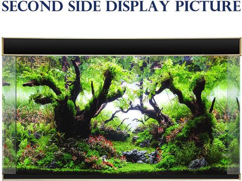 Fish Aquarium Background Poster with Starfish, Blue Sky, Beach, Shell, Seaweed (19" x 48")