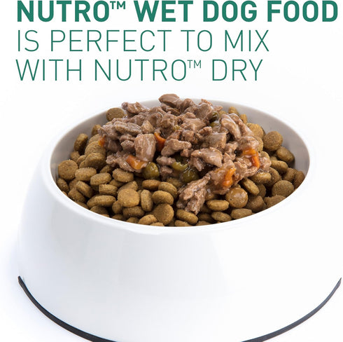 NUTRO PREMIUM LOAF Adult Natural Grain Free Wet Dog Food, Turkey, Sweet Potato & Green Bean Recipe, 12.5 oz Cans
