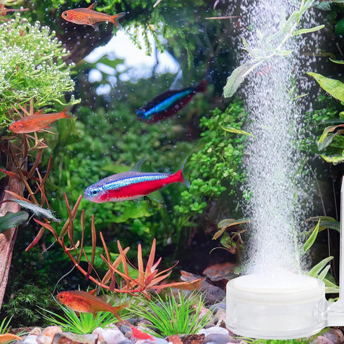 ZRDR Aquarium Air Refiner Kit, Low-Pressure Bubbler for Fish Tank with Control Valve and Suckers