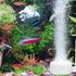 ZRDR Aquarium Air Refiner Kit, Low-Pressure Bubbler for Fish Tank with Control Valve and Suckers