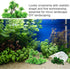 balacoo Plastic Aquarium Coconut Plants, Artificial Palm Model Trees for Fish Tank Decorations and Scenery