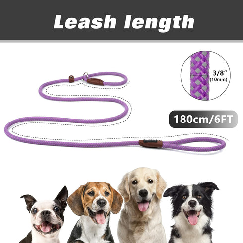 PetiFine Slip Lead Dog Leash, 6FT Reflective Durable Training Leash for Small to Large Dogs (Purple)