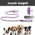 PetiFine Slip Lead Dog Leash, 6FT Reflective Durable Training Leash for Small to Large Dogs (Purple)