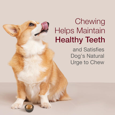 SmartBones Cups with Peanut Butter, Delicious Rawhide-Free Chew for Dogs, 5 Count