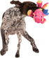 goDog Coral Large Bubble Plush Dragon Chew Toy with Squeaker