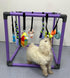 DOZZOPET 8 Puppy Play Gym for Small Dogs with Hanging Toys, Jungle Playground with Interactive Funny Enrichment Toys