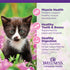 Wellness Complete Health Grain-Free Wet Canned Kitten Food, Real Meat, Whitefish & Chicken Bundle, 12 Cans