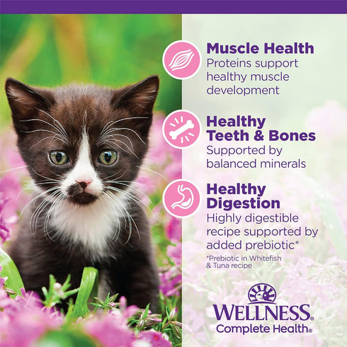 Wellness Complete Health Grain-Free Wet Canned Cat Food - Natural Ingredients, Real Meat, Smooth Pate, 3 oz, Pack of 24