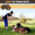 BRUTUS & BARNABY Training Treats for Dogs, Peanut Butter & Honey, All-Natural Healthy Low Calorie Treat