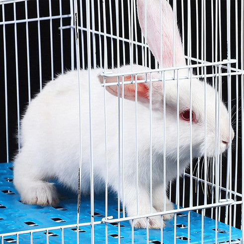 6 Chinchillas Pcs Rabbit Cage Mats,Mat for Wire Floor,Cages Plastic Bunny Feet Pad Playpen Feet Mats Floor Feet Pads