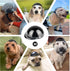 Lesypet Black Small Dog Helmet for Motorcycle Biking Safety Hat