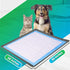 Skywin Dog Pad Holder Tray for 36 x 36 Inches Training Pads - Easy to Clean and Store, No Spill Pee Pad Holder for Dogs