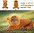 Rypet Dog Lion Costume | Pet Clothes for Halloween Party, Simulation Lion Hoodie for Cats and Dogs