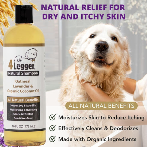 4Legger 16 oz All Natural Organic Oatmeal Dog Shampoo for Itchy Skin with Aloe, Coconut & Lavender Essential Oil
