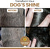 3 180 3 6 9 Omega Fish Oil for Dogs, Soft Chews - Salmon Oil Skin & Coat Supplement, Allergy & Itchy Skin Relief, Hot