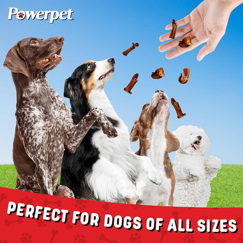Treats Bully Stick Bites, All Natural Dog Treats, High Protein, Grain-Free, Rawhide-Free, Odorless, 1lb Pack