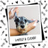 Dog Shampoo Luxury 2 in 1 - Papaya & Coconut Grooming Shampoo for Smelly Dogs, Vegan Pet Shampoo & Conditioner
