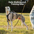 Escape Proof Dog Harness - Secure No Escape Design, Fully Reflective with Handle, Adjustable Vest for Small Dogs