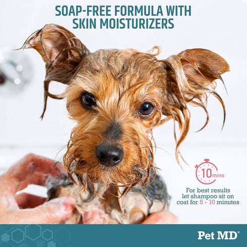 (16oz) Pet MD Benzoyl Peroxide Shampoo for Dogs & Cats - Helps Remove Dead Skin, Unclog Pores, and Manage Mange