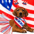 4th of July Dog Costume Accessories - 6 Pieces Includes Bandanas, Tulle Tutu, Patriotic Headbands for Dogs