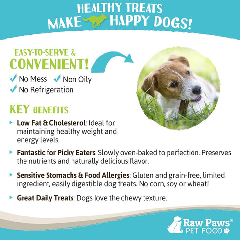 Raw Paws Wild-Caught Venison Treats for Dogs, 6-oz - Real Meat Jerky, Grain, Corn & Soy Free
