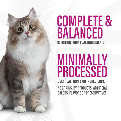 100% 3 oz. (12 Count) (Packaging Tiki Cat After Dark Soft Pate, Lamb & Beef Liver, High-Protein and Non-GMO