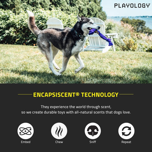 Playology Silver Dri-Tech Dental Rope Dog Toy for Large Senior Dogs (35lbs and Up) - All-Natural Pork Sausage Scented
