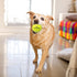 Dog Tennis Balls - 12 Pack 2.5" Squeaky Interactive Toys for Small Medium Large Dogs - Bounce Rubber for Training