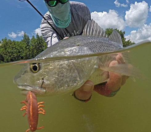 Q8 Super Bait Shrimps - Irresistible Fishing Lure