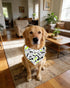 100 Pack PET SHOW XL Dog Bandanas Bulk No Stitching for Extra Large Dogs Washable Paw Print Scarf Triangle Bibs